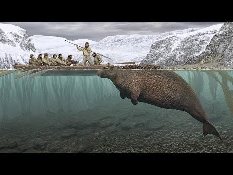 Top 10: Animals That Humans Hunted Into Extinction