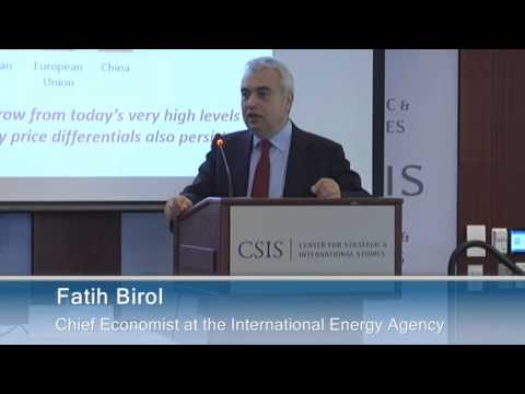 The International Energy Agency's World Energy Outlook 2013