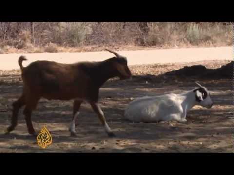 Botswana's Okavango wildlife threatened