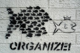 organize