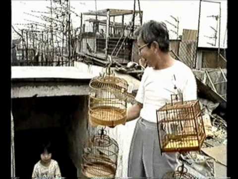 Kowloon Walled City (1988)