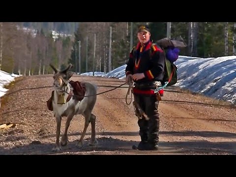 The Last Generation? – Reindeer Herding in Swedish Lapland, Documentary