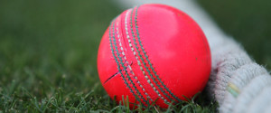 PINK CRICKET BALL