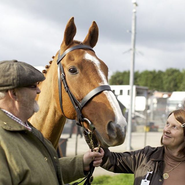 WIN TIX! Feeling frisky? Wanna go to a special event screening of Dark Horse: The Incredible True Story of Dream Alliance this Monday 2 November at Palace Cinema Como? Kicks off at 6pm and includes sparkling and entertainment on arrival. Film starts at 6.30pm. All part of the BBC First British Film Festival. Email widescreen@miff.com.au for your chance to win! 🐎🐎🐎