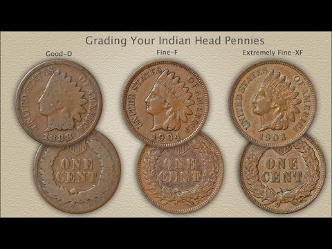 Grading Indian Head Pennies