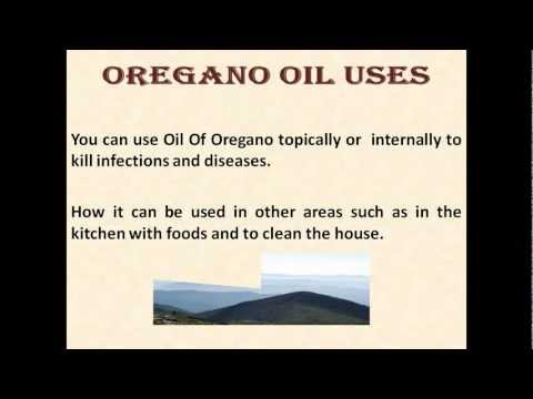 OREGANO OIL USES: LEARN ABOUT OIL OF OREGANO USES AND HEALTH BENEFITS