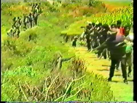 Ethiopian Revolution: EPRDF WOYANE