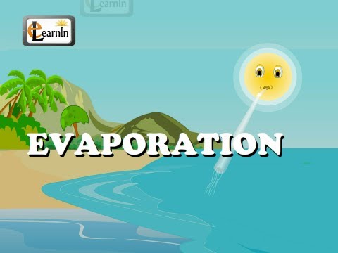 Evaporation - Elementary Science