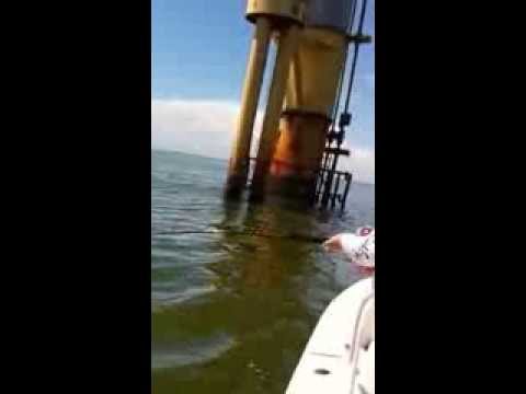 Ty Catches a Red Snapper in the gulf off of Venice Louisiana