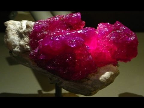 The Blood Red Rubies of Burma