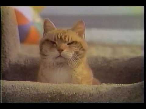 1978 9 Lives Morris the Cat Commercial