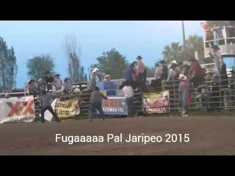 LA CAPITAL DEL JARIPEO COLUSA , CALIFORNIA 2015