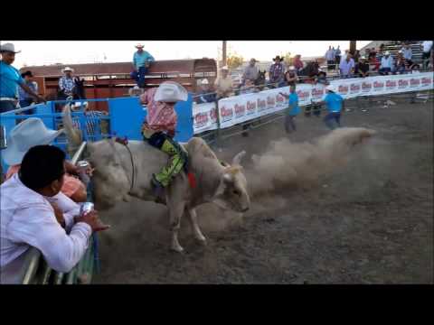 HD 2014JARIPEO EN COLUSA CALIFORNIA RANCHO LAS CRUCES DEL GUCHES VS CHINFLAS DE JLAISCO