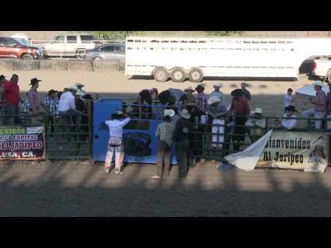 Jaripeo 2 Torneo Colusa Ca 07262015