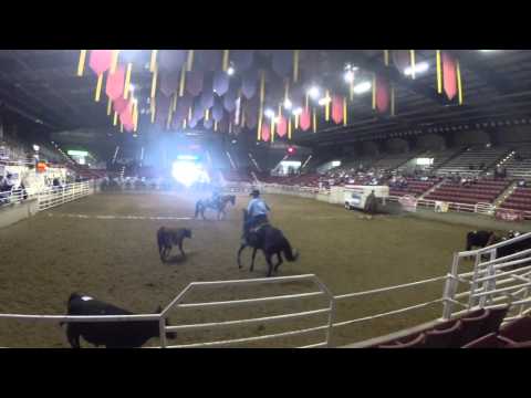 2014 Great Basin Buckaroo Gathering