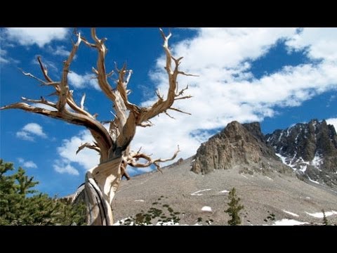 Solitude at Great Basin National Park - Best Parks Ever - 4346