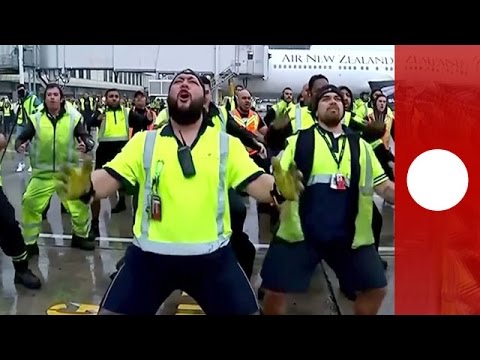 NZ airport staff perform Haka for victorious All Blacks