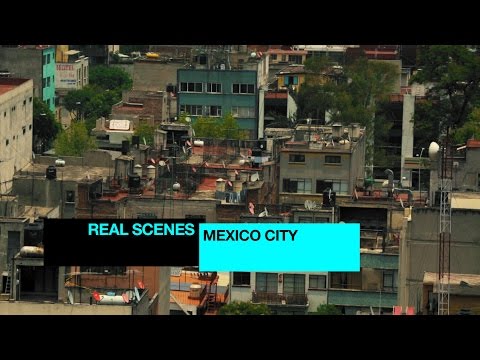 Real Scenes: Mexico City