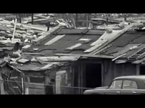 1967, Les bidonvilles de Nanterre