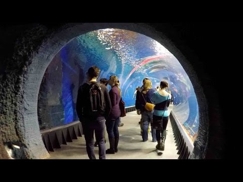 Oceanarium Afrykarium Wroclaw Poland WALKING TOUR HD 1080p