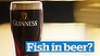 Guinness to make vegan beer  (Video Thumbnail)