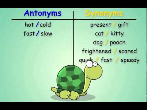 Antonyms and Synonyms