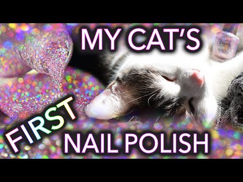 My Cat Menchie's first nail polish porn!