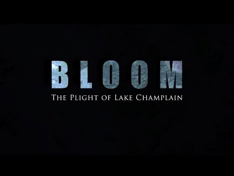 Bloom - the Plight of Lake Champlain (Part 1 of 4)