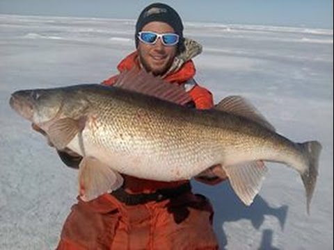 Lake Erie Awesome Ice Fishing for Hawgeye Walleye - Fishing and Fun with JFick - Ohio Outdoors