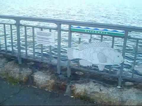 An Extensive Tour Of Brooklyn New York City By Bicycle Caesars Bay Bath Beach Part 4