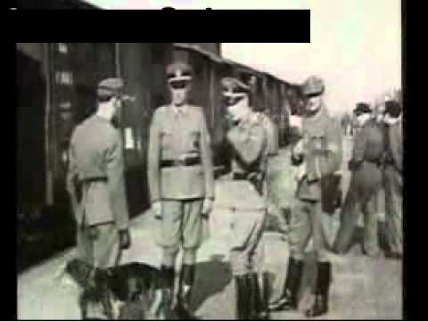 Hitler's Henchmen - The Executioner - Heinrich Himmler