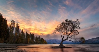 This is the lone tree at Wanaka taken at the crack of dawn in early April. Wanaka must be one of the most beautiful places in NZ. My wife and I were visiting the South Island after being inspired by all the scenery in the Lords of the Rings movies. Unfortunately it rained for all bar 2 days of our 15. This was the first day since we had arrived it hadn't rained. A big storm had raged the night before and it was pretty cold and windy. I got up and walked to the lake which was like a picture postcard of a Swiss village, with snow on the mountains, autumn leaves and a great sunrise.