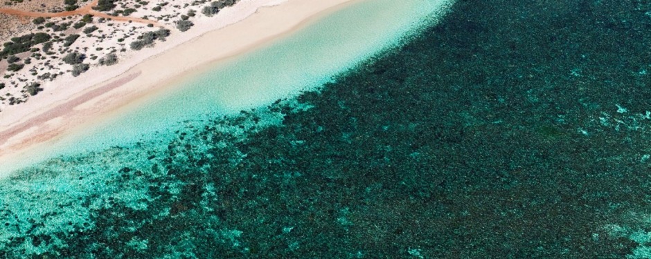 Sal Salis, Ningaloo Reef.