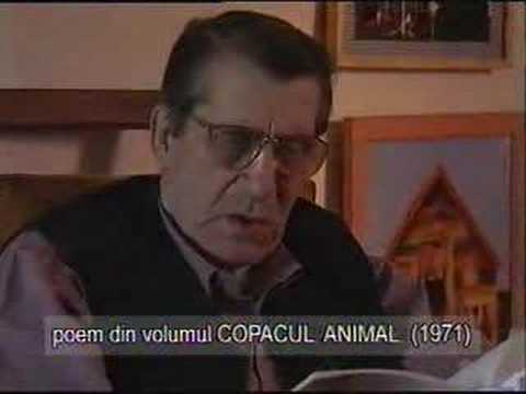 Gellu Naum - Copacul animal (Batrinul sedea mort)