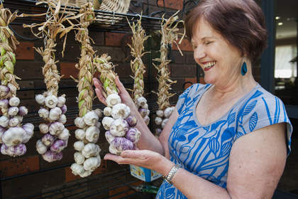 Food and Wine

Date: November 21 2015
The Canberra Times
Photo: Elesa Kurtz
Kitchen Gardener Maria Adams with her recently harvested garlic heads