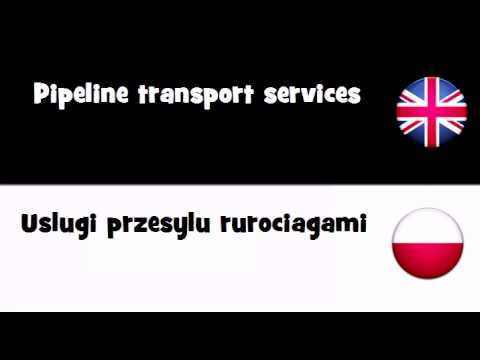 VOCABULARY IN 20 LANGUAGES = Pipeline transport services