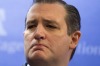 Texas senator Ted Cruz, part of the 2010 congressional intake, is hated and feared by the Republican establishment almost as much as Donald Trump himself.