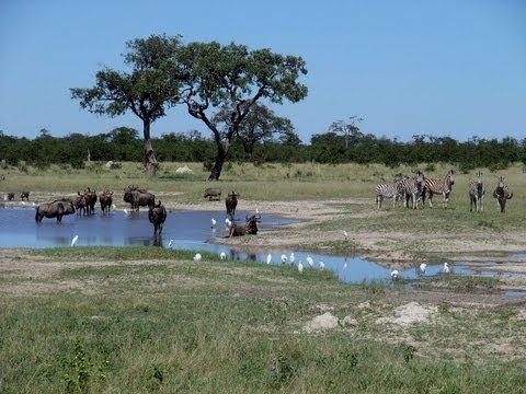 Top 10 Cities of Botswana