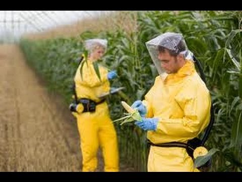 FOOD - WHAT ARE WE REALLY EATING (documentary 1/6) - Health/nutrition/education