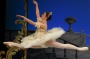 Australian Ballet: The Sleeping Beauty rehearsal at the Arts Centre. 16 December 2015. The Age NEWS. Photo: Eddie Jim.