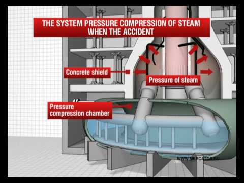 Boiling Water Reactor (BWR)