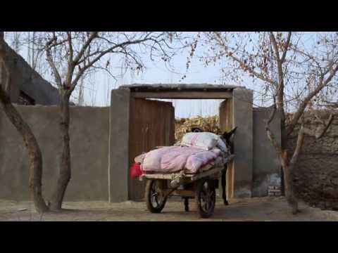 The Edge of the Bazaar: A short documentary about Uyghur rural life