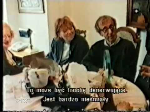 Celebrity (Woody Allen 1998) Promo / Canal+ / Polska