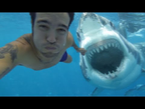 Shark Attack Caught On Video 2015