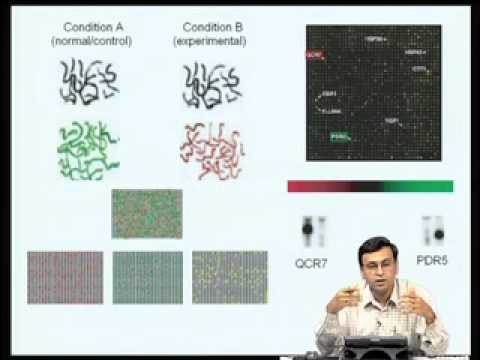 Mod-10 Lec-39 Genomics & Proteomics