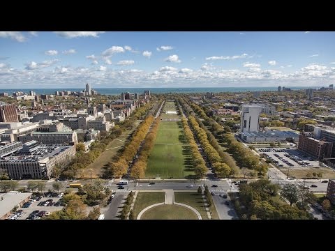 Wendy Doniger on the University of Chicago’s Architectural “Neighborhoods”