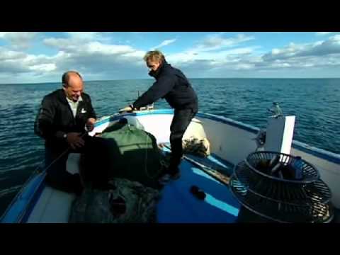 Octopus fishing in Sicily  - Gordon Ramsay