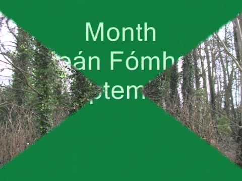 Irish Ogham Calendar