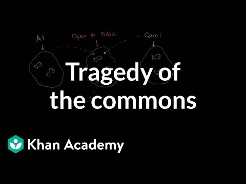 Tragedy of the Commons