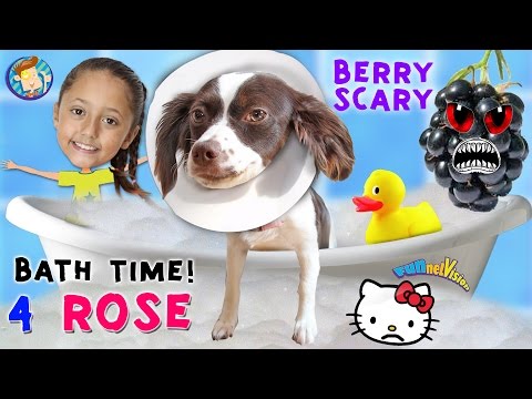 Bath Time for Rose / Berry Scare Cam / Treat Challenge & The End of Hello Kitty (FUNnel Vision Vlog)